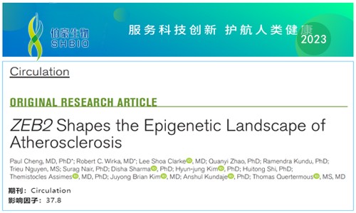 文獻(xiàn)解讀 |scRNA-seq 聯(lián)合 scATAC-seq 解析 ZEB2 調(diào)控動(dòng)脈粥樣硬化表觀遺傳景觀