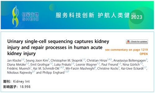 文獻(xiàn)解讀 | 尿 scRNA-seq 捕獲人類急性腎損傷的腎損傷和修復(fù)過(guò)程
