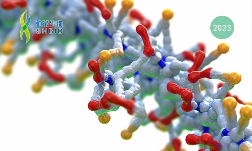 液體活檢 |Olink PEA 技術(shù)助力發(fā)現(xiàn)神經(jīng)膠質(zhì)瘤精準早診循環(huán)蛋白標志物