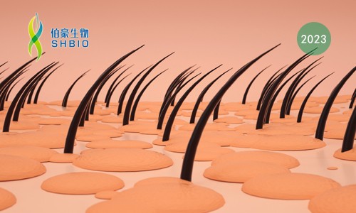 mRNA-seq 項目文章 | 鉬酸鈣納米顆粒 3D 生物打印于毛發(fā)再生的研究