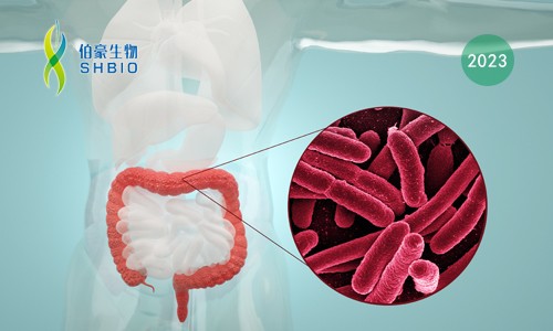 轉(zhuǎn)錄組測序項目文章 | 人類腸道卵形擬桿菌在膳食纖維素糖降解中重要作用