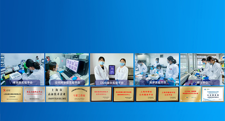 伯豪生物 服務(wù)科技創(chuàng)新，護(hù)航人類(lèi)健康！dlqkx.org.cn