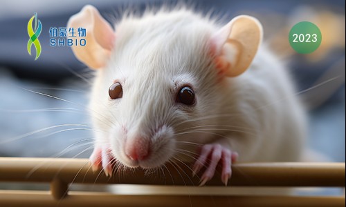 文獻解讀 | 單細胞 RNA 測序揭示了小鼠脊髓小膠質(zhì)細胞對周圍神經(jīng)損傷的時間和性別特異性反應(yīng)，并將 ApoE 與慢性疼痛聯(lián)系起來