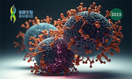 高分文獻(xiàn)一作分享會(huì) | 單細(xì)胞轉(zhuǎn)錄組測(cè)序在腫瘤細(xì)胞進(jìn)入滯育樣狀態(tài)的調(diào)控作用研究
