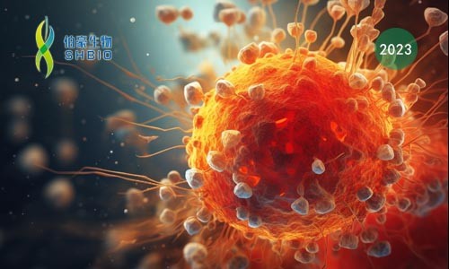 文獻解讀 | 血管周圍的三級淋巴樣結(jié)構(gòu)中干細胞樣 CD4+ T 細胞在自身免疫性血管炎中的作用