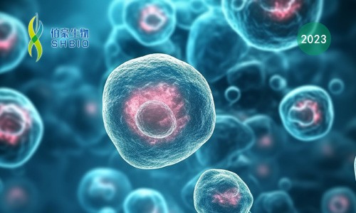 文獻解讀 | NK 細胞的泛癌單細胞全景圖譜