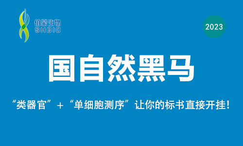 國自然黑馬 |“類器官 + 單細胞測序”讓你的標書直接開掛！