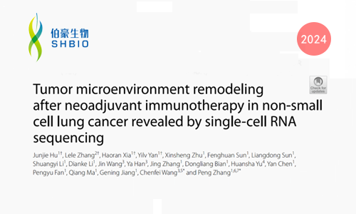 文獻(xiàn)解讀 | 單細(xì)胞 RNA 測序揭示非小細(xì)胞肺癌新輔助免疫治療后腫瘤微環(huán)境重塑