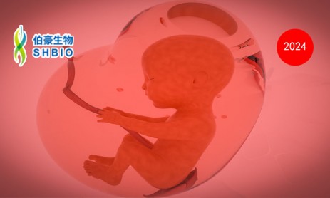 文獻(xiàn)解讀 | TBX3 控制胎盤發(fā)育早期絨毛中的關(guān)鍵滋養(yǎng)層譜系