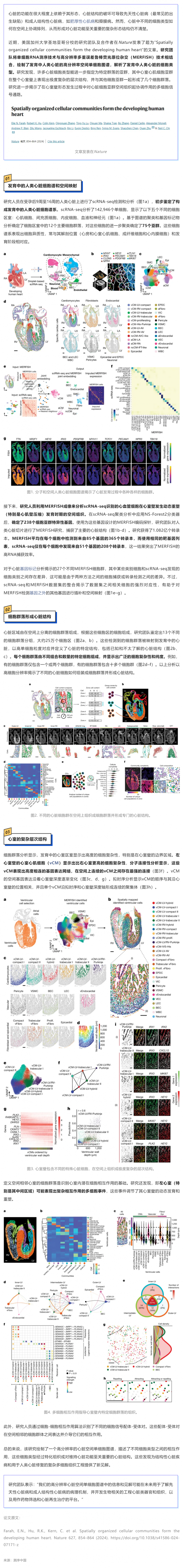 Nature| 利用 RNA 測(cè)序和空間成像技術(shù)成功構(gòu)建高分辨率人類心臟空間單細(xì)胞圖譜