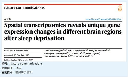 文獻(xiàn)解讀 | 空間轉(zhuǎn)錄組學(xué)揭示睡眠剝奪后不同大腦區(qū)域的特異性基因表達(dá)變化