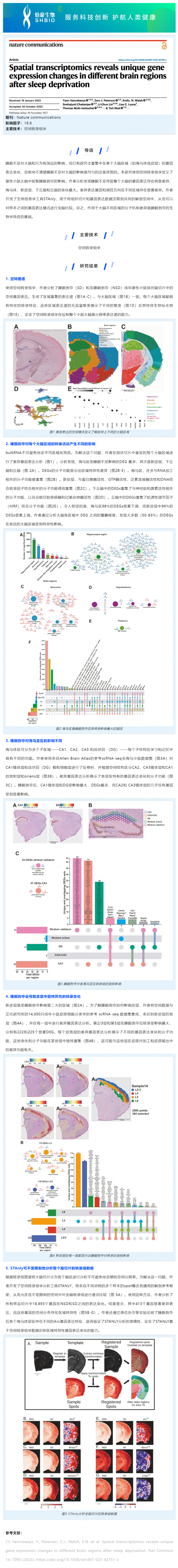 516 文獻解讀 _ 空間轉(zhuǎn)錄組學揭示睡眠剝奪后不同大腦區(qū)域的特異性基因表達變化