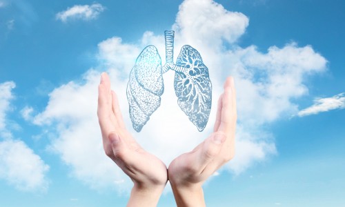 Nat Commun | 基于單細胞和空間轉(zhuǎn)錄組學分析構(gòu)建 NSCLC 免疫和非免疫區(qū)圖譜