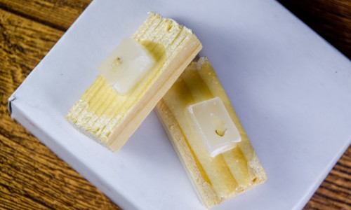 伯豪生物 FFPE 石蠟樣本多組學(xué)一站式解決方案