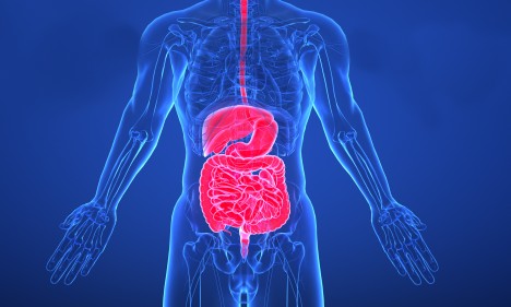 項(xiàng)目文章 | 腸道粘膜免疫細(xì)胞分析顯示，在免疫無(wú)反應(yīng)者中，濾泡或記憶 B 細(xì)胞與漿細(xì)胞之間存在分化阻礙