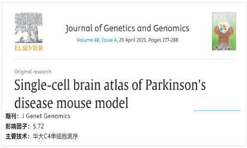 文獻(xiàn)解讀 | 干擾素刺激了 HBV 感染人源化小鼠模型的免疫譜變化