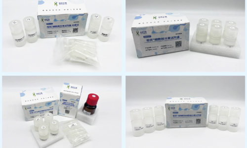 伯優(yōu)細(xì)胞核分離試劑盒應(yīng)用文章速覽