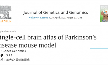 文獻(xiàn)解讀 | 帕金森病小鼠模型腦單細(xì)胞圖譜