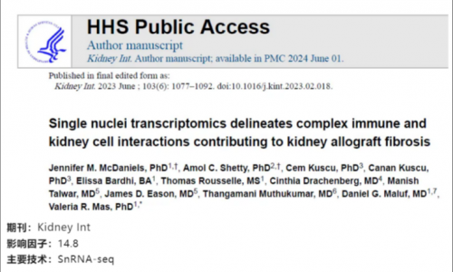 文獻(xiàn)解讀 | 單核轉(zhuǎn)錄組學(xué)描述了復(fù)雜的免疫和腎細(xì)胞相互作用對(duì)腎移植纖維化的影響