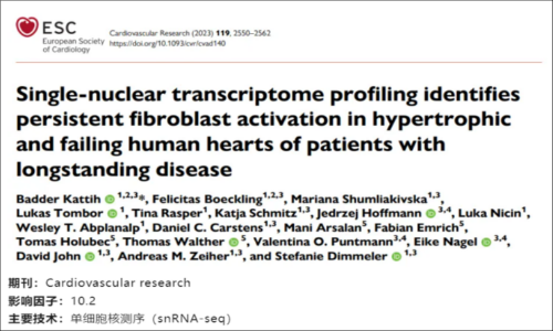 文獻(xiàn)解讀 | 單核轉(zhuǎn)錄組揭示長期肥厚和衰竭的人類心臟中成纖維細(xì)胞持續(xù)激活