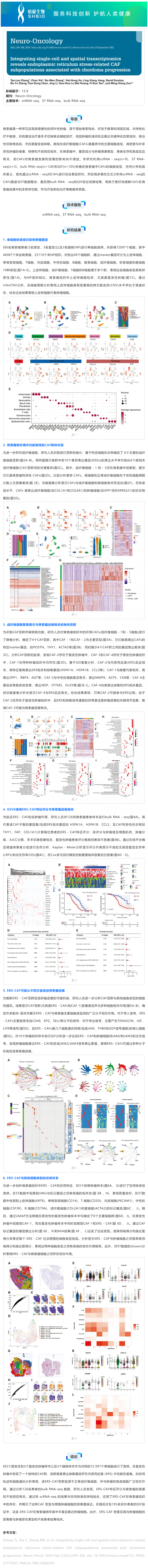 文獻解讀 _ 整合單細胞和空間轉(zhuǎn)錄組學(xué)揭示與脊索瘤進展相關(guān)的內(nèi)質(zhì)網(wǎng)應(yīng)激相關(guān) CAF 亞群