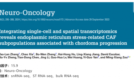 文獻(xiàn)解讀 | 整合單細(xì)胞和空間轉(zhuǎn)錄組學(xué)揭示與脊索瘤進(jìn)展相關(guān)的內(nèi)質(zhì)網(wǎng)應(yīng)激相關(guān) CAF 亞群
