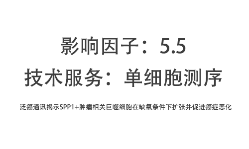 文獻(xiàn)解讀 | 泛癌通訊揭示 SPP1+ 腫瘤相關(guān)巨噬細(xì)胞在缺氧條件下擴(kuò)張并促進(jìn)癌癥惡化