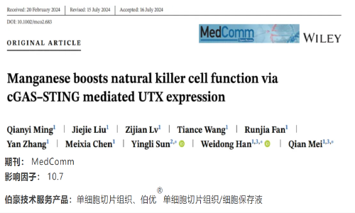 項目文章 | 單細胞轉(zhuǎn)錄組測序揭示錳離子在腫瘤 NK 細胞功能調(diào)控中的角色