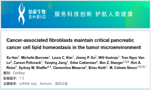 單細胞空間原位檢測技術丨癌癥相關成纖維細胞在腫瘤微環(huán)境中維持關鍵的胰腺癌細胞脂質穩(wěn)態(tài)
