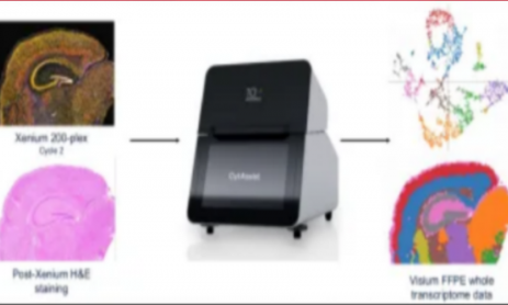 突破極限！單張樣本完成 Xenium+Visium HD 全流程實(shí)驗(yàn)及分析！