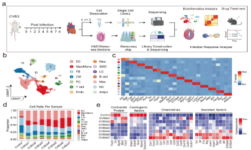 二月高分文獻速遞 | 空間轉錄組系列