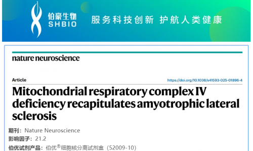 細胞核分離試劑盒應(yīng)用文章 | 線粒體呼吸鏈復(fù)合體 IV 缺陷重現(xiàn)肌萎縮側(cè)索硬化癥表型