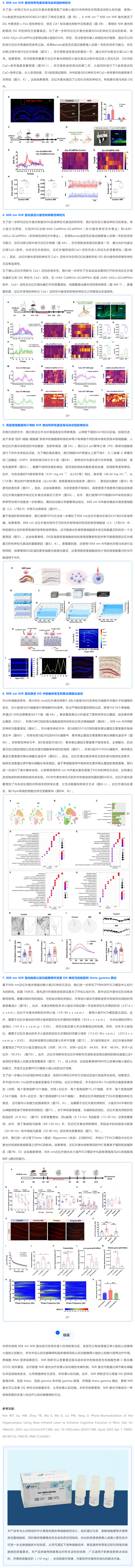 單細胞項目文章 | 近紅外激光增強小鼠海馬認知功能的光生物調(diào)節(jié) 2