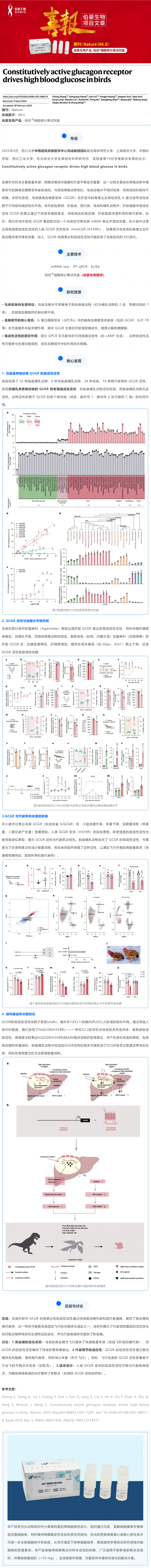 Nature 主刊項目文章 | 組成型活性胰高血糖素受體驅動鳥類高血糖